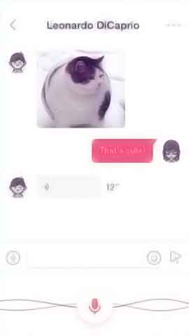 DDOS攻击器软件程序维护界面